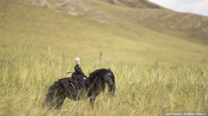 Фризский конь и красавица Дания (фото 3)