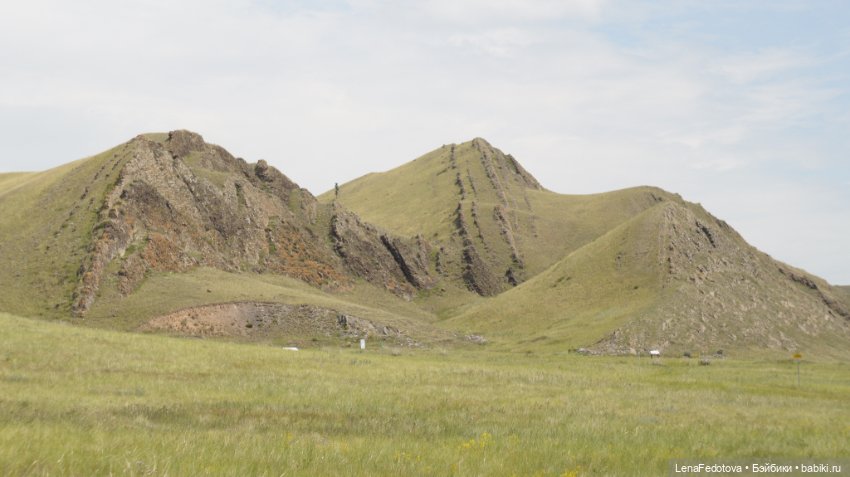 Фризский конь и красавица Дания