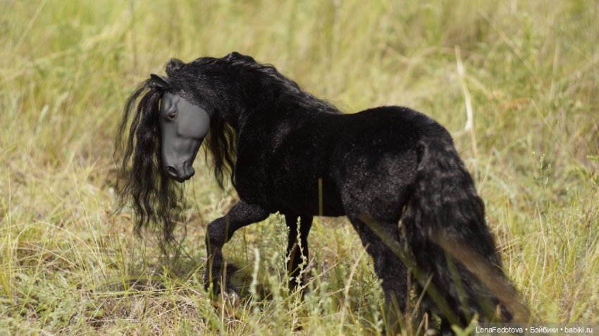 Фризский конь и красавица Дания (фото 6)