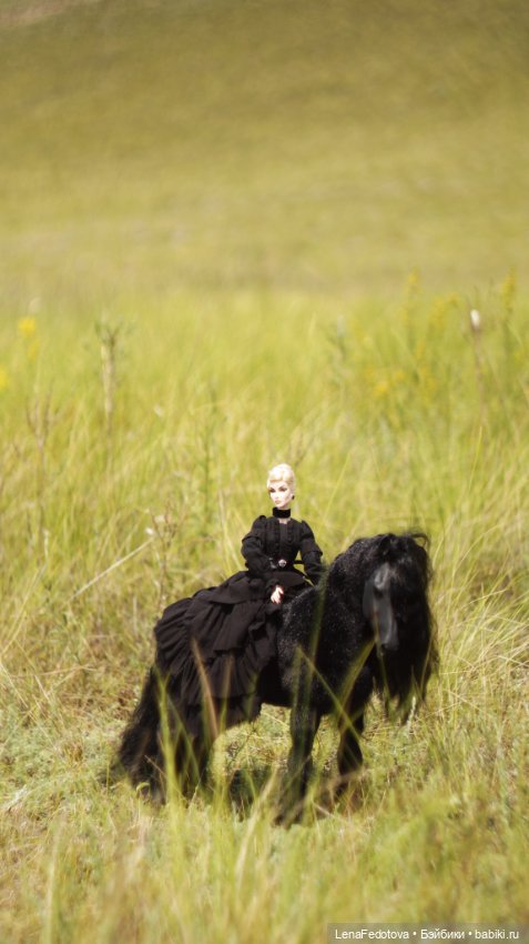 Фризский конь и красавица Дания (фото 2)