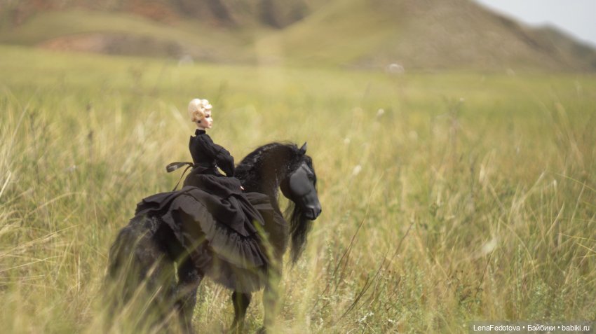 Фризский конь и красавица Дания (фото 4)