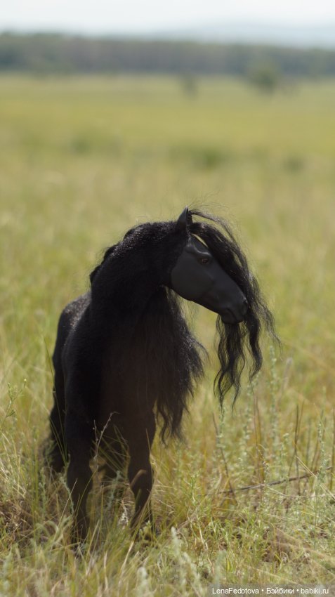 Фризский конь и красавица Дания