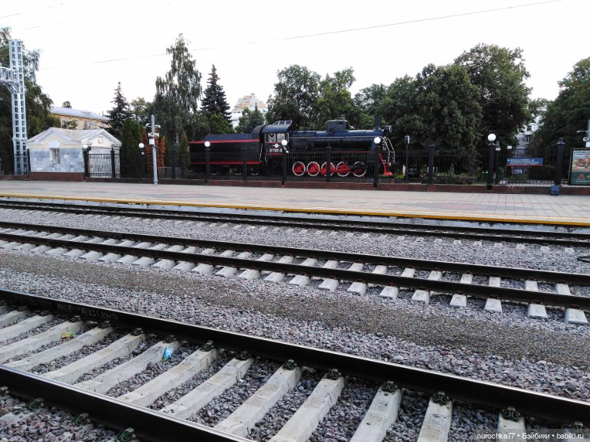 Про Нафочку. Отпуск. В пути (фото 5)