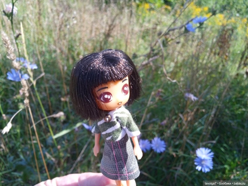 Август, цикорий и компания (фото 6)