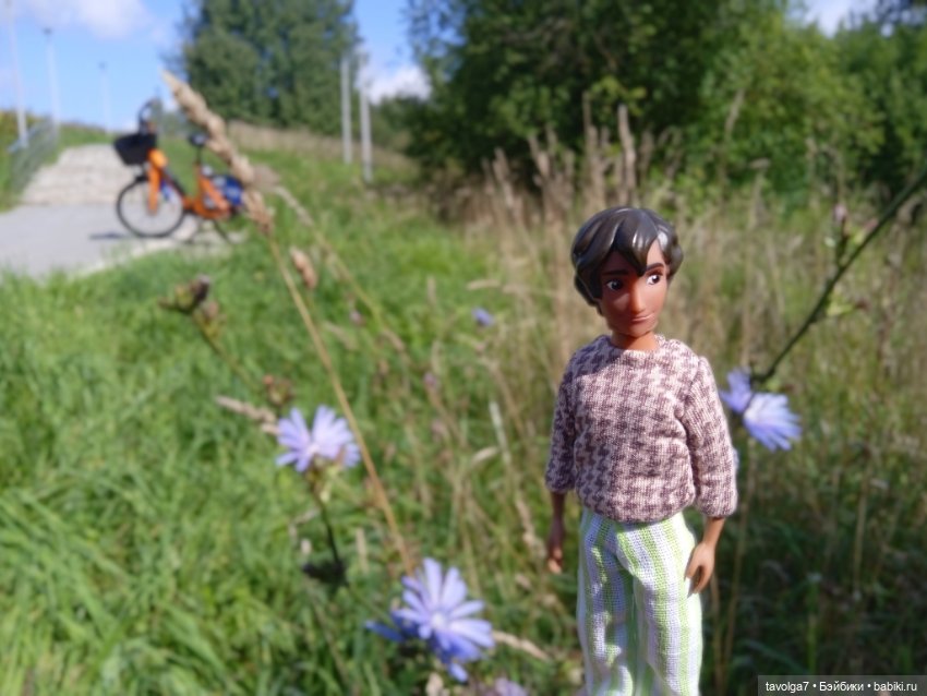 Август, цикорий и компания (фото 9)