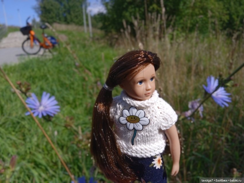 Август, цикорий и компания