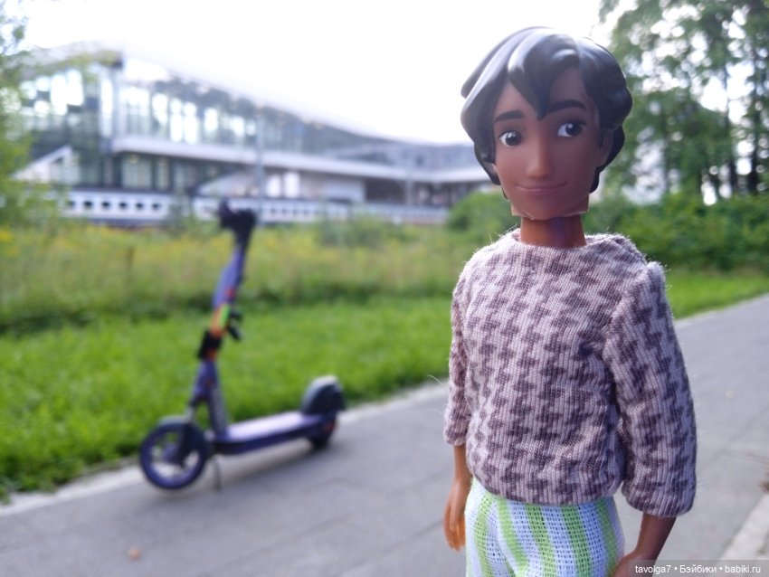 Август, цикорий и компания