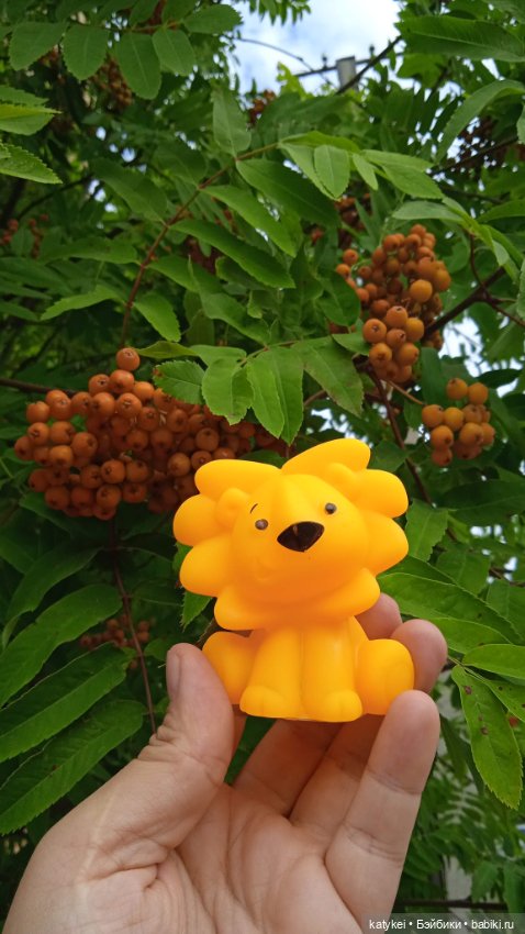 Банановый лев или Все оттенки жёлтого (день льва 2025)