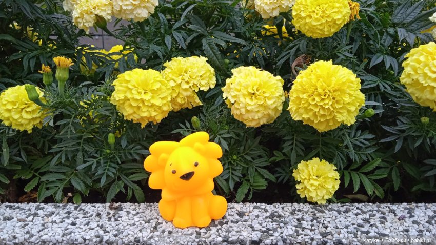 Банановый лев или Все оттенки жёлтого (день льва 2025) (фото 2)