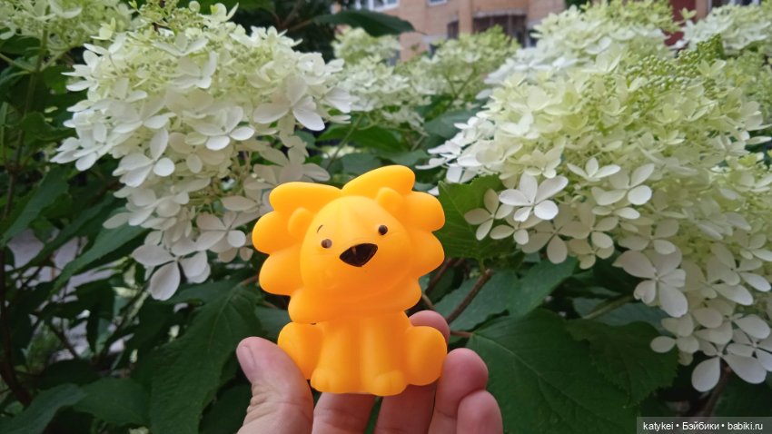 Банановый лев или Все оттенки жёлтого (день льва 2025)