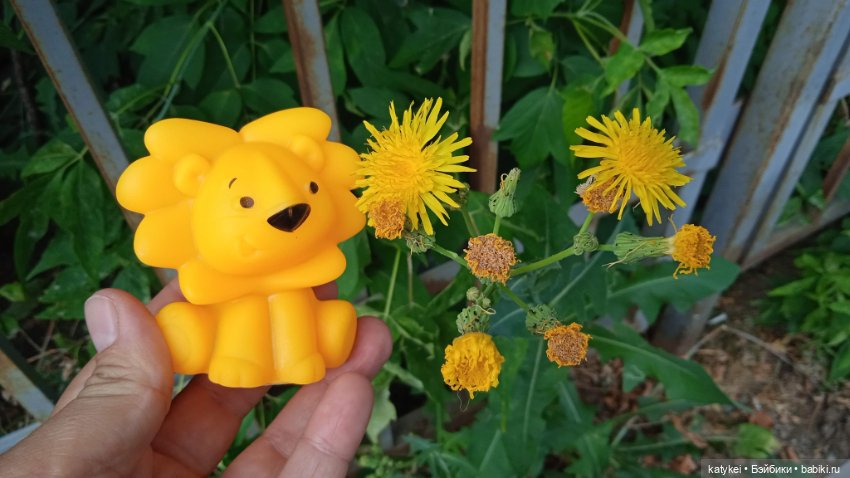 Банановый лев или Все оттенки жёлтого (день льва 2025)