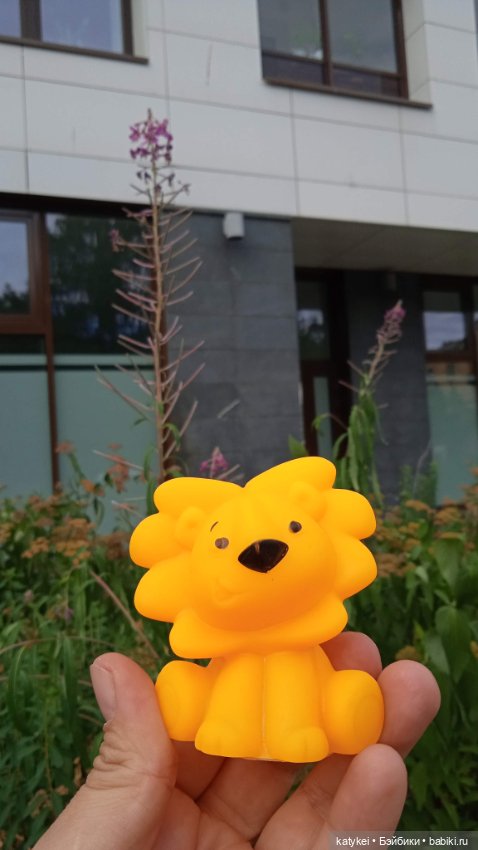 Банановый лев или Все оттенки жёлтого (день льва 2025)