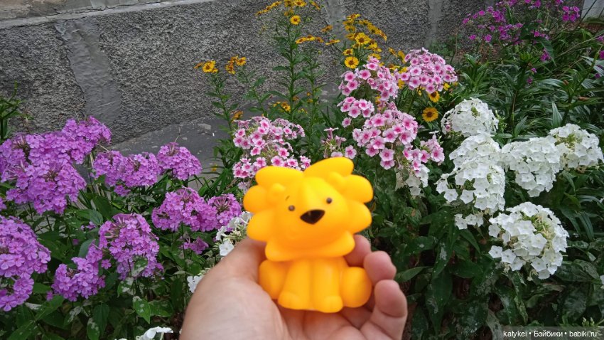 Банановый лев или Все оттенки жёлтого (день льва 2025)