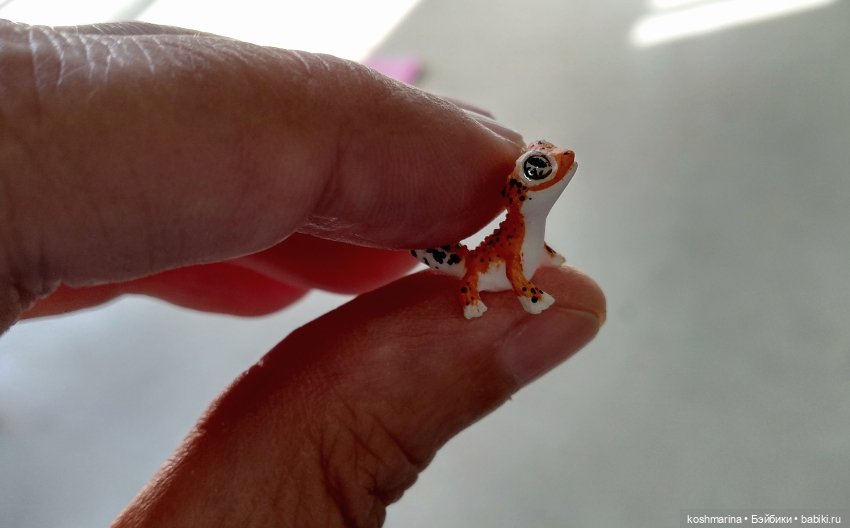 Путевые заметки подходят к концу