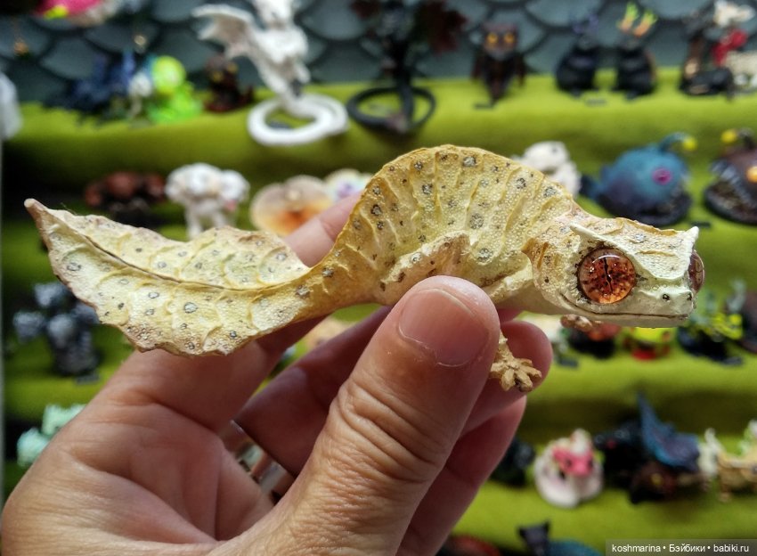 Путевые заметки подходят к концу (фото 6)