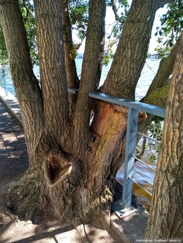 Путевые заметки подходят к концу