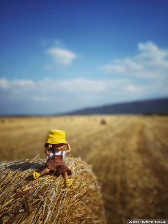 Кусочек лета — Куклы Meadow dolls (Медовушки): BJD (БЖД)