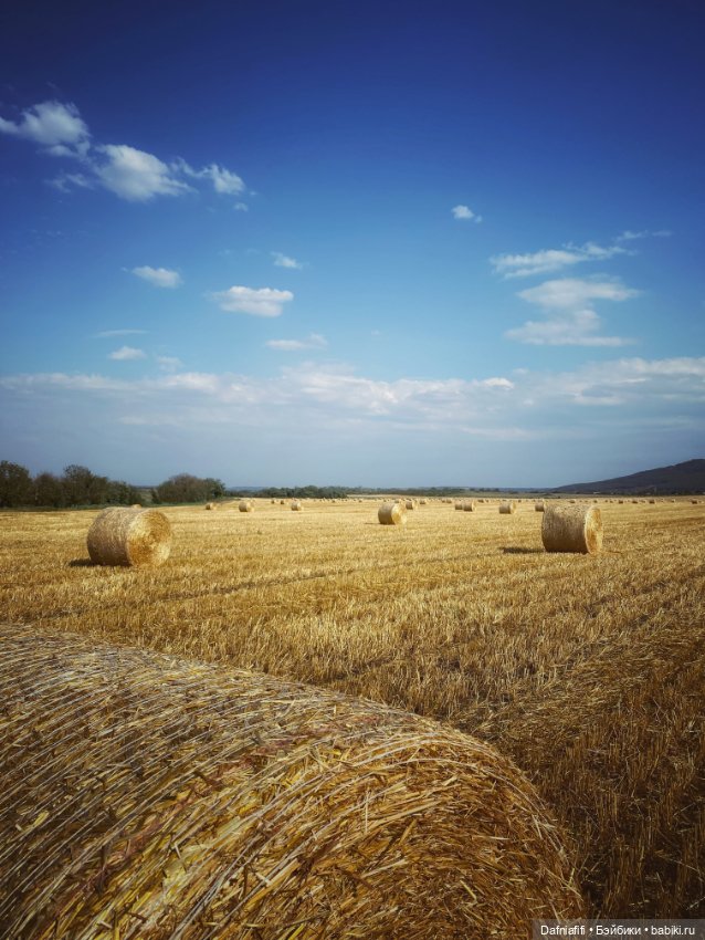 Кусочек лета — Куклы Meadow dolls (Медовушки): BJD (БЖД)