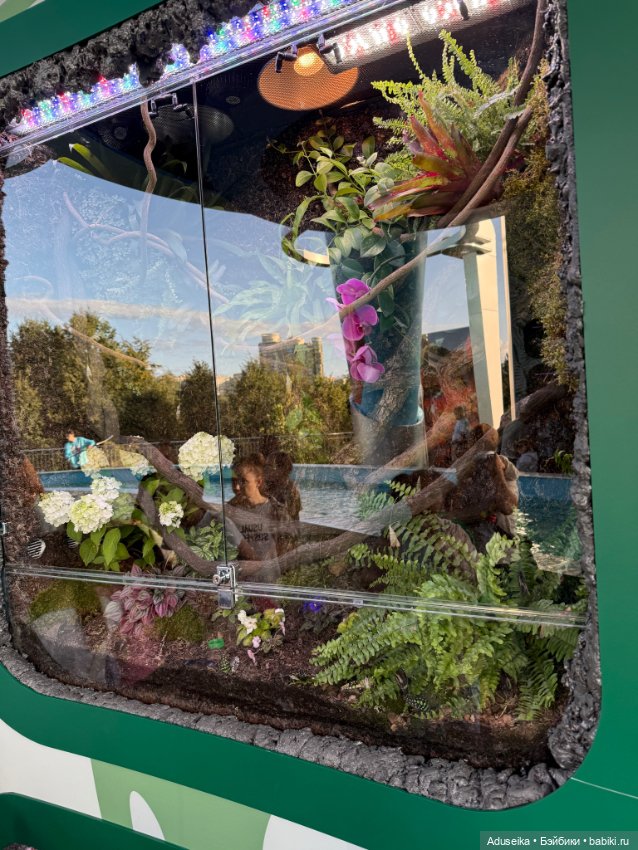 🪼 Аурелия: лето в городе — Куклы Simontoys и Come4Free (Blind Box): Teennar