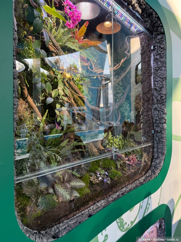 🪼 Аурелия: лето в городе — Куклы Simontoys и Come4Free (Blind Box): Teennar