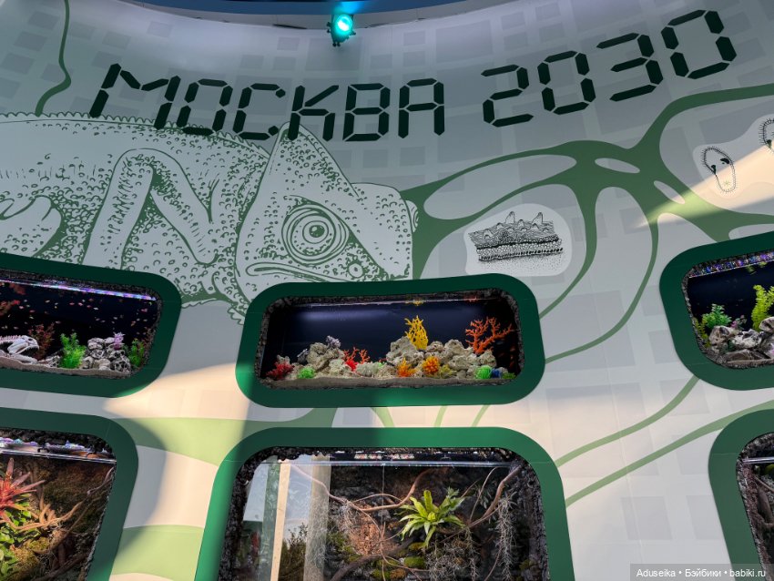 🪼 Аурелия: лето в городе — Куклы Simontoys и Come4Free (Blind Box): Teennar