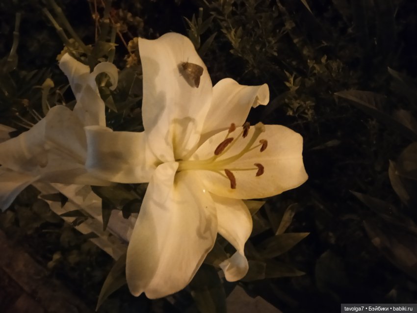 "Пережить отрицание себя - довольно реалистично." (фото 3)