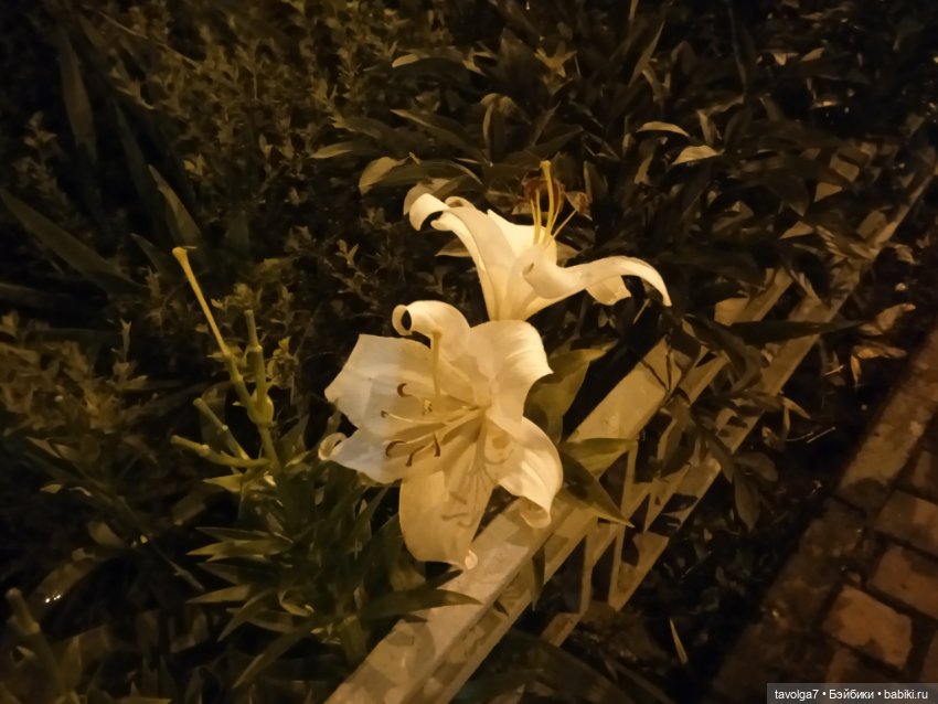 "Пережить отрицание себя - довольно реалистично."