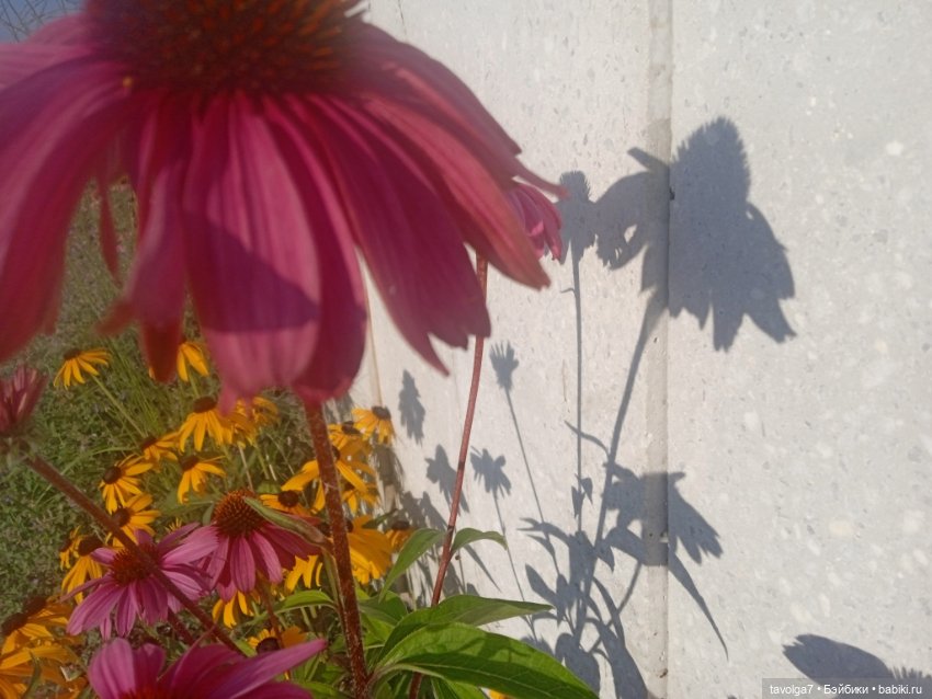 "Пережить отрицание себя - довольно реалистично."