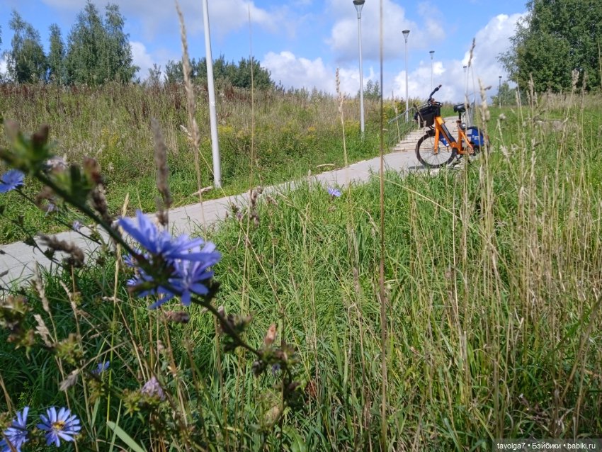 "Пережить отрицание себя - довольно реалистично."