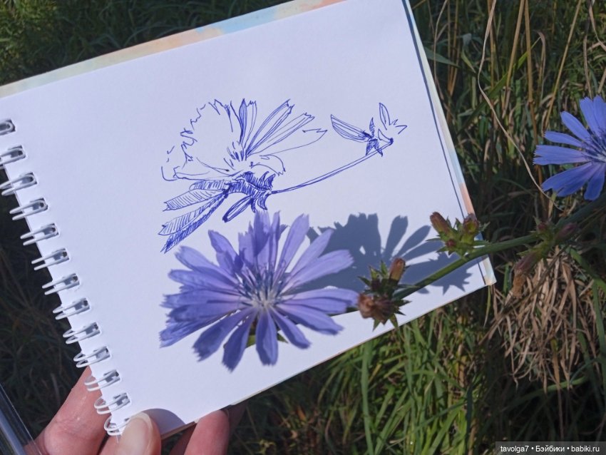 "Пережить отрицание себя - довольно реалистично."