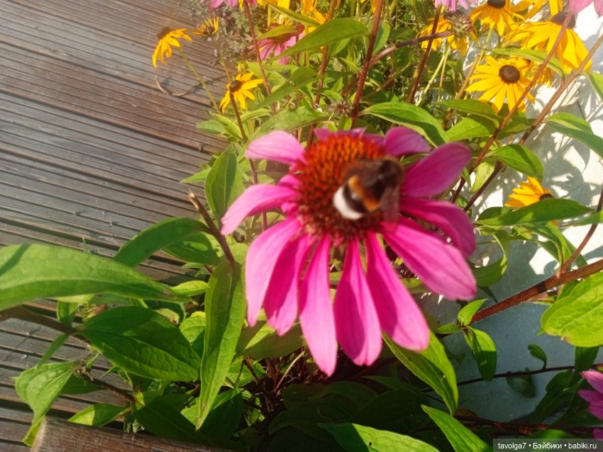 "Пережить отрицание себя - довольно реалистично." (фото 7)