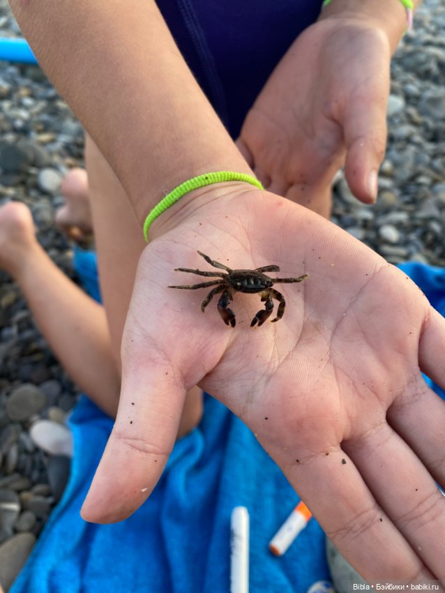 Рая на море — Игровые куклы разных производителей (Разное): редкие бренды (фото 9)