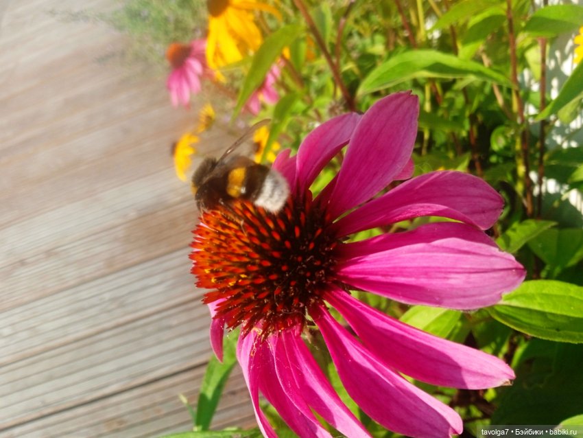 "Пережить отрицание себя - довольно реалистично."