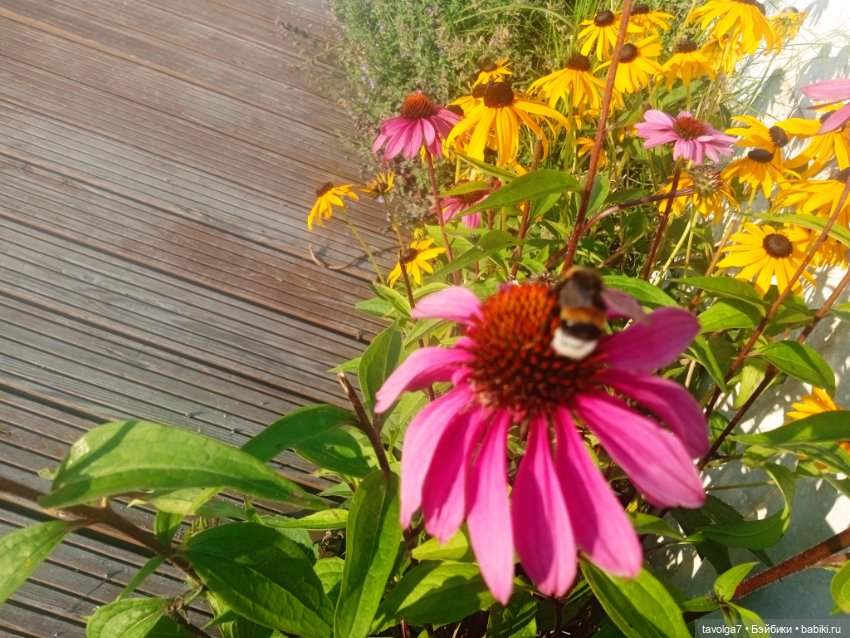 "Пережить отрицание себя - довольно реалистично." (фото 8)