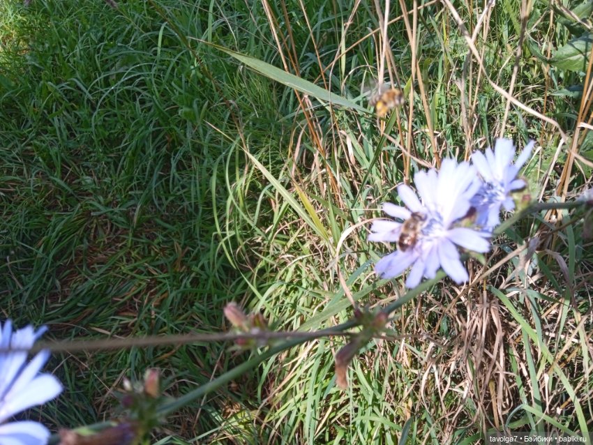 "Пережить отрицание себя - довольно реалистично."