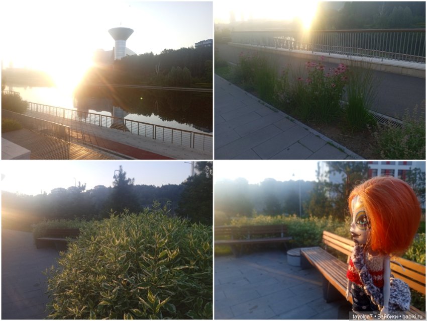 Зарисовки эхинацеи 29.7.2025 (фото 6)