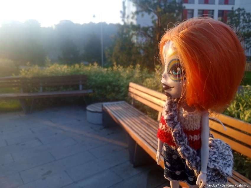 Зарисовки эхинацеи 29.7.2025