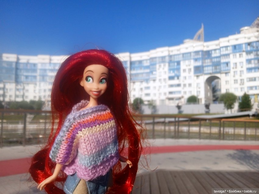 Зарисовки эхинацеи 29.7.2025