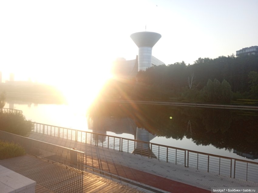 Зарисовки эхинацеи 29.7.2025 (фото 3)