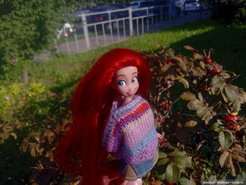 Зарисовки эхинацеи 29.7.2025