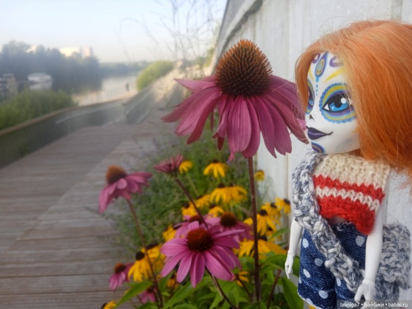 Зарисовки эхинацеи 29.7.2025