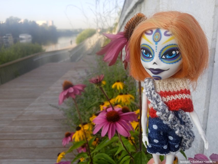 Зарисовки эхинацеи 29.7.2025