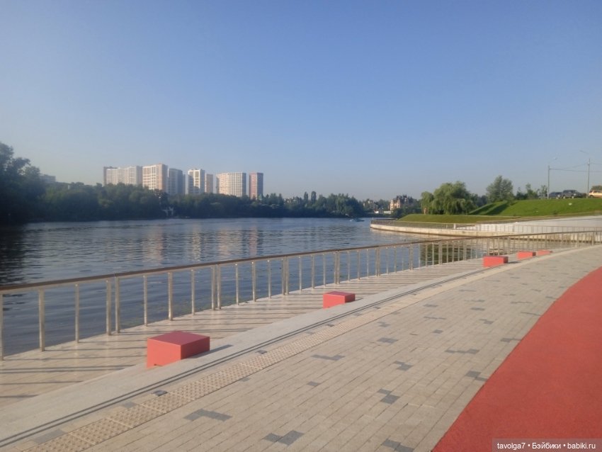 Зарисовки эхинацеи 29.7.2025