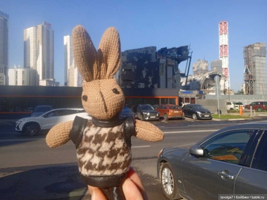 Зарисовки эхинацеи 29.7.2025