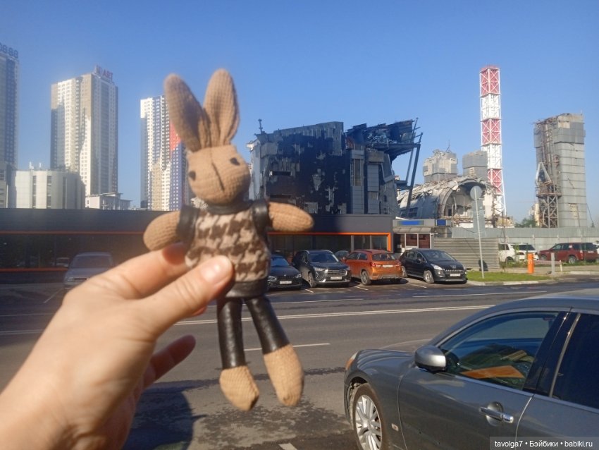 Зарисовки эхинацеи 29.7.2025