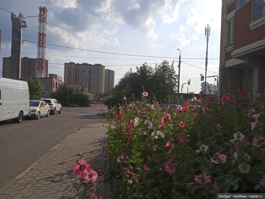 Lori в Москве — Куклы Lori (Лори): Battat