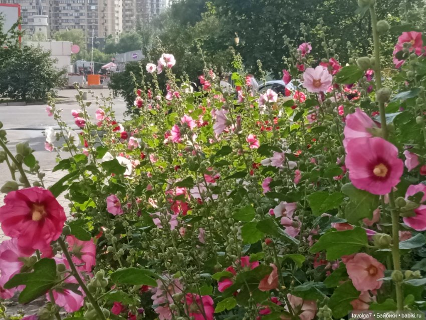 Lori в Москве — Куклы Lori (Лори): Battat