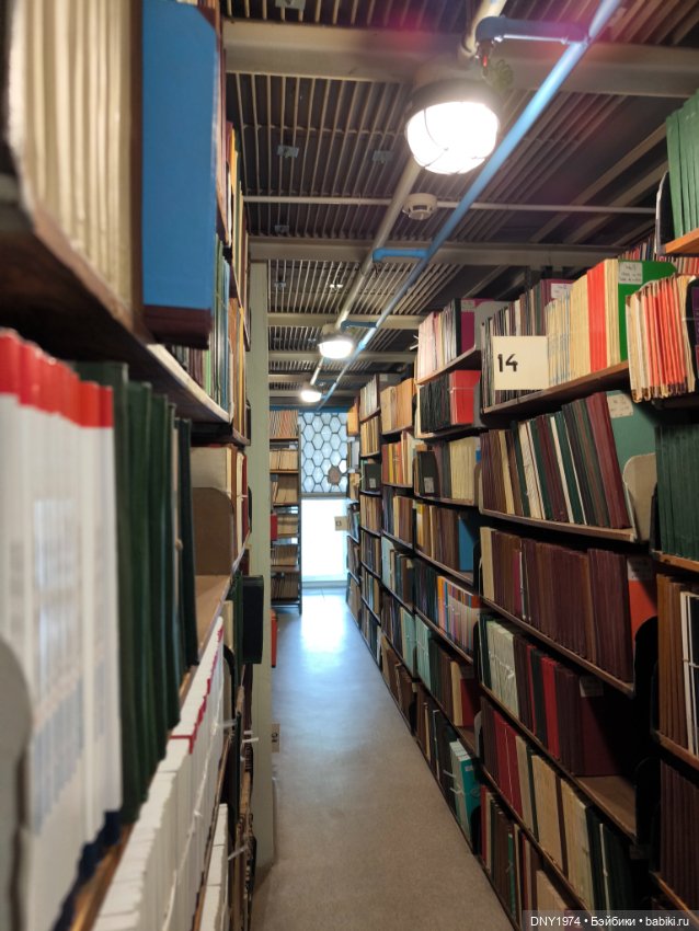 Практически МНС — Куклы Momoko и Ruruko (Petworks (фото 8)