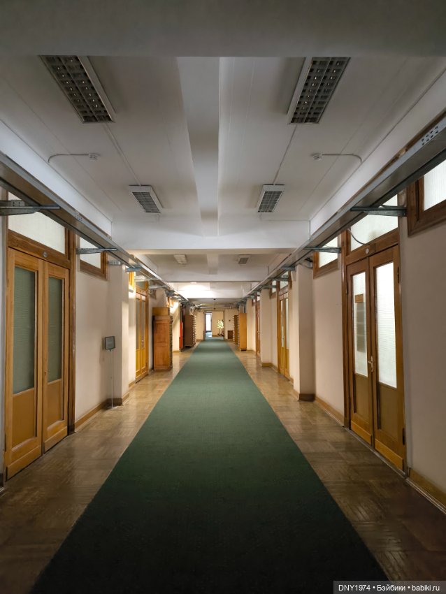 Практически МНС — Куклы Momoko и Ruruko (Petworks (фото 9)