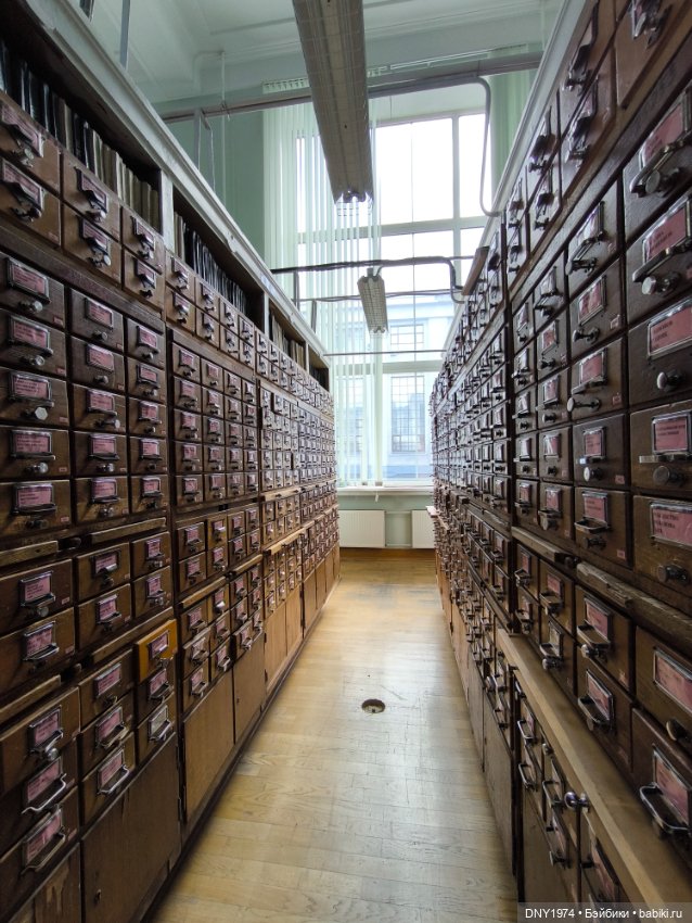 Практически МНС — Куклы Momoko и Ruruko (Petworks